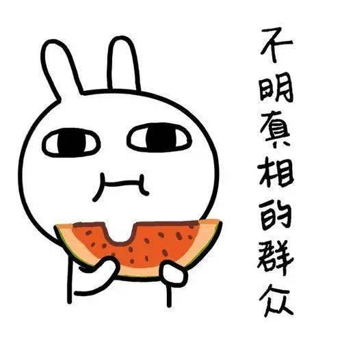 在线吃瓜》,揭秘网络舆论场的狂欢与反思