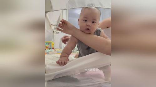 围栏上吃瓜