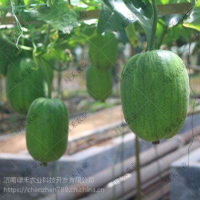 济南英才吃瓜,揭秘“吃瓜”背后的故事与影响