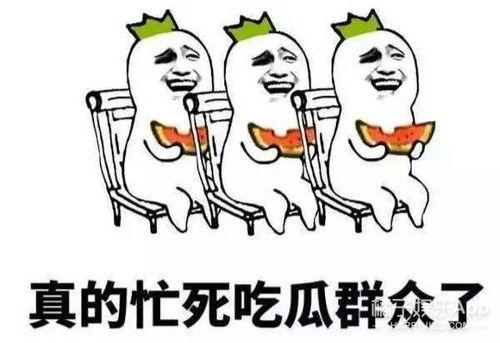 前几年吃瓜群众,网络时代的围观力量