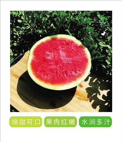 战疫吃瓜