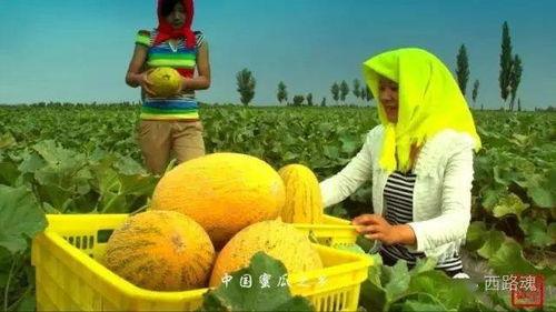 带你吃瓜神奇滑梯