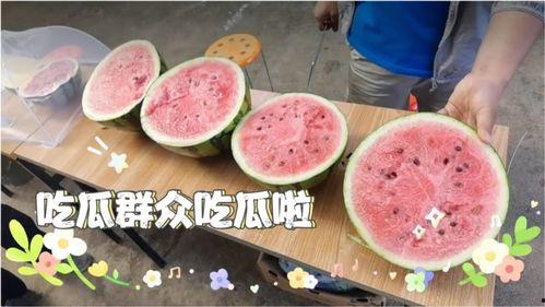 新瓜优品天天吃瓜,天天吃出健康与美味