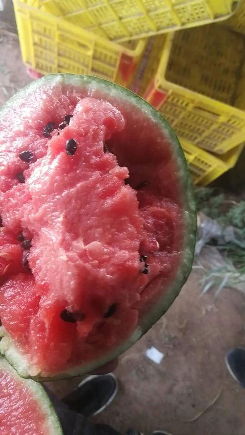 吊瓜夏天怎么吃