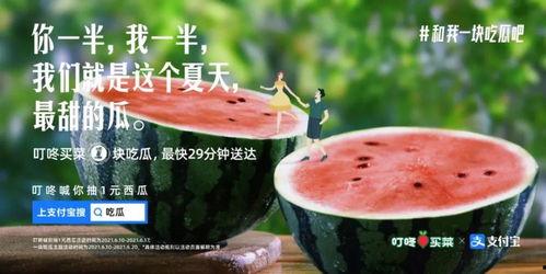 吃瓜文案释怀,轻松看透娱乐圈风云变幻