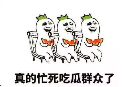 吃瓜搞笑介绍图片