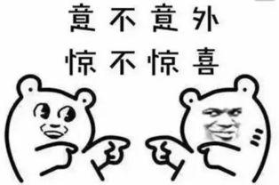 坐在瓜堆里面吃瓜的我,揭秘瓜堆里的悠闲时光