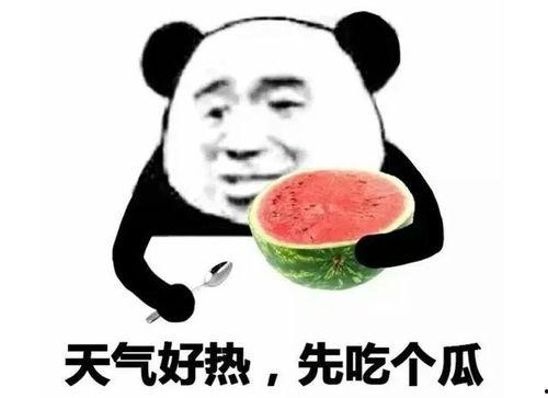 吃瓜鄙视表情包,揭秘网络时代的社交新宠
