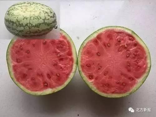 有假的吃瓜吗,揭秘网络谣言背后的真相