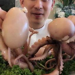 吃内脏的视频瓜,一场味蕾与健康的较量
